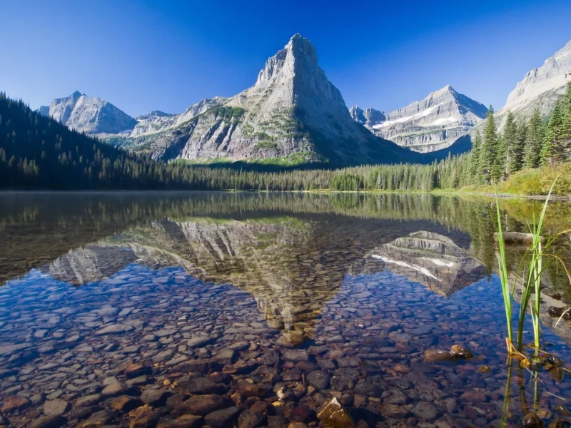 Naturaleza