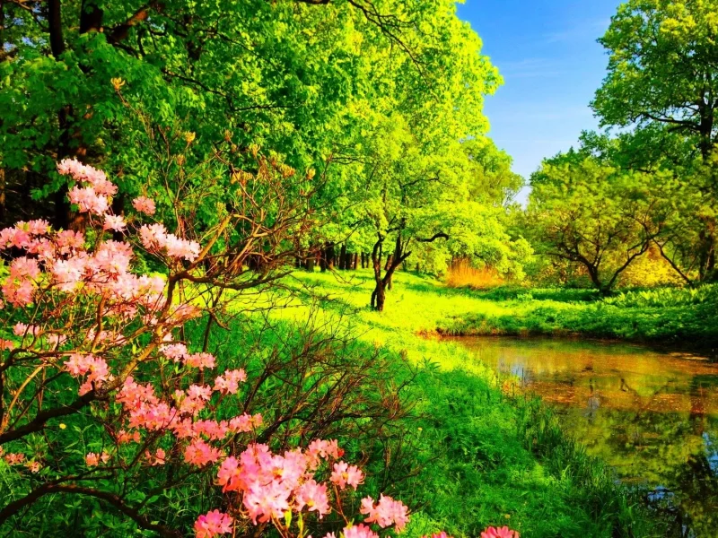 Naturaleza