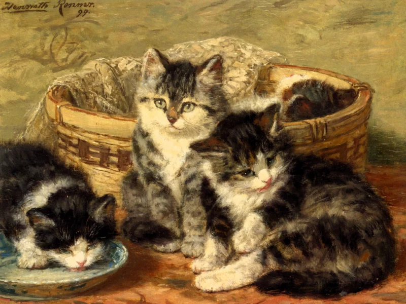 Henriette Ronner-Knip