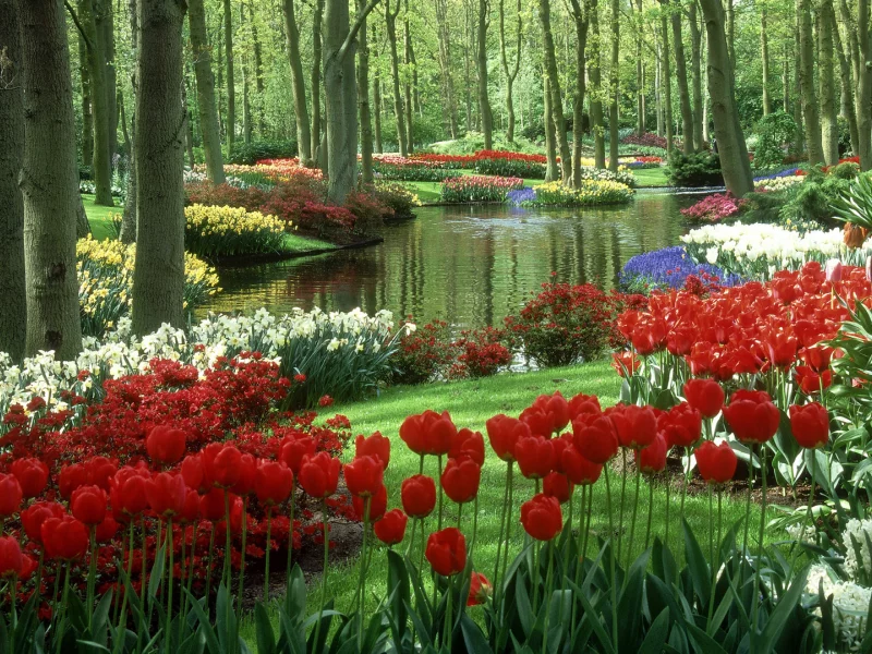 Naturaleza