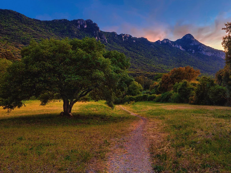 Naturaleza