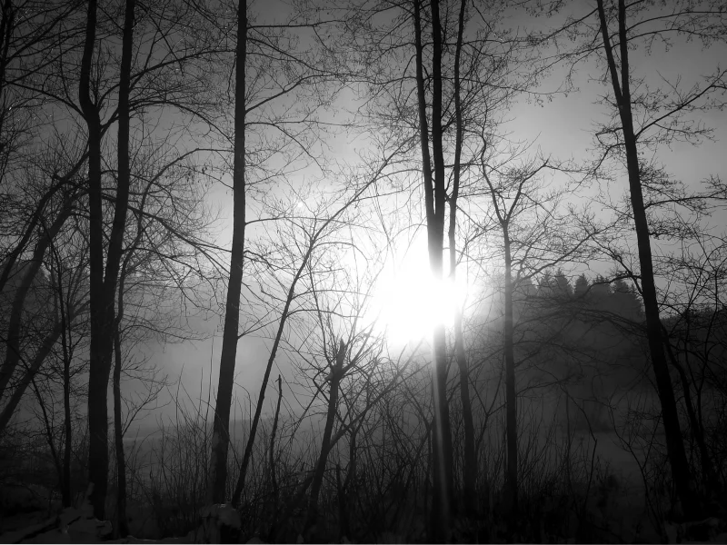 природа