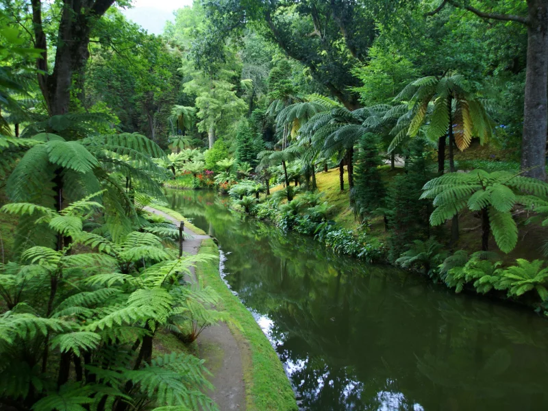 Naturaleza