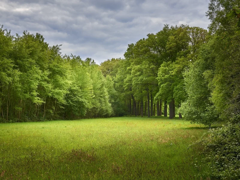 Naturaleza