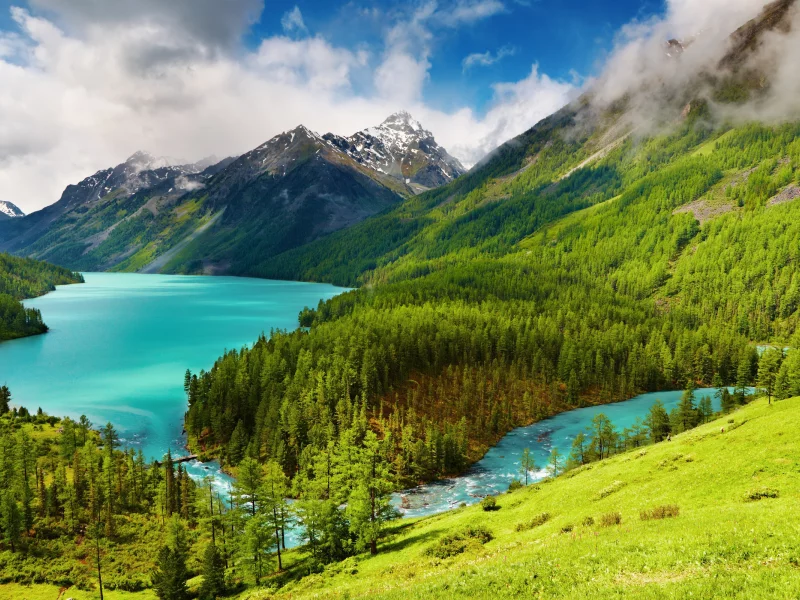 Naturaleza