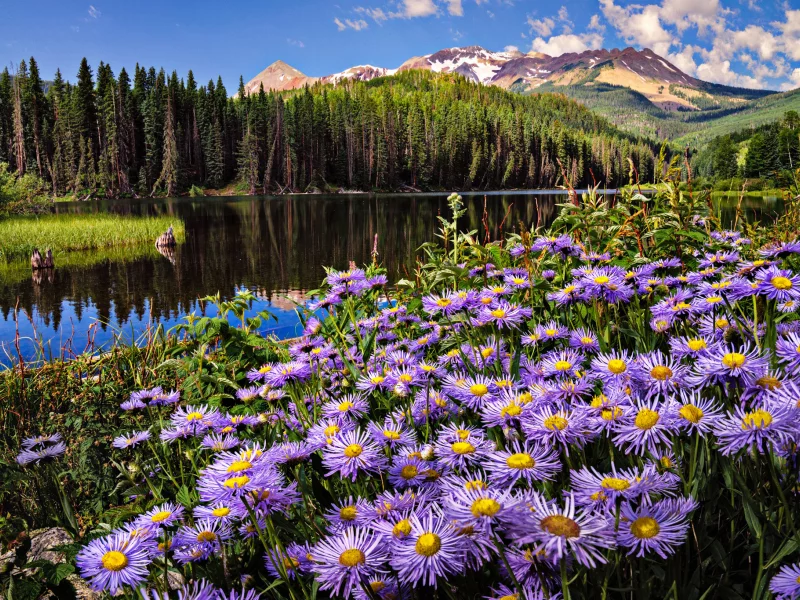 Naturaleza