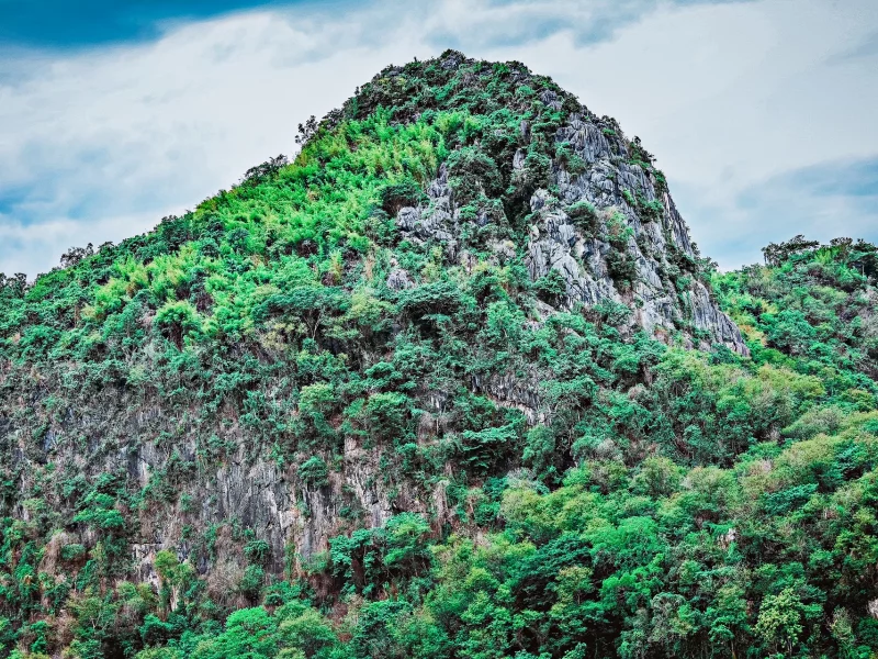 Naturaleza