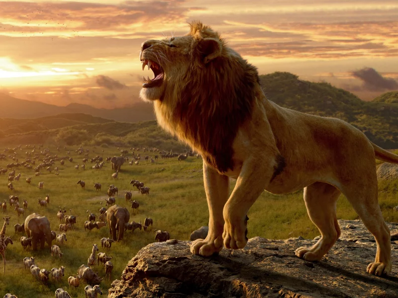 The Lion King