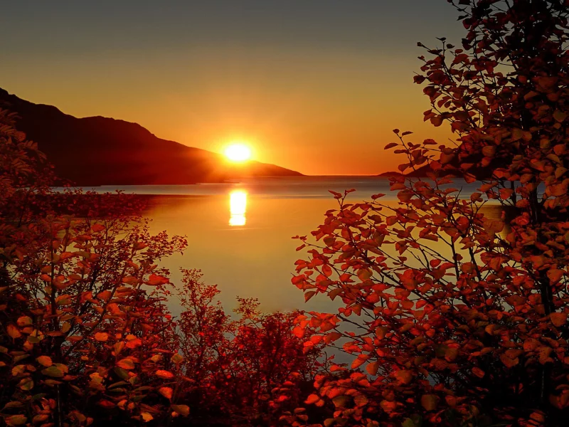 природа