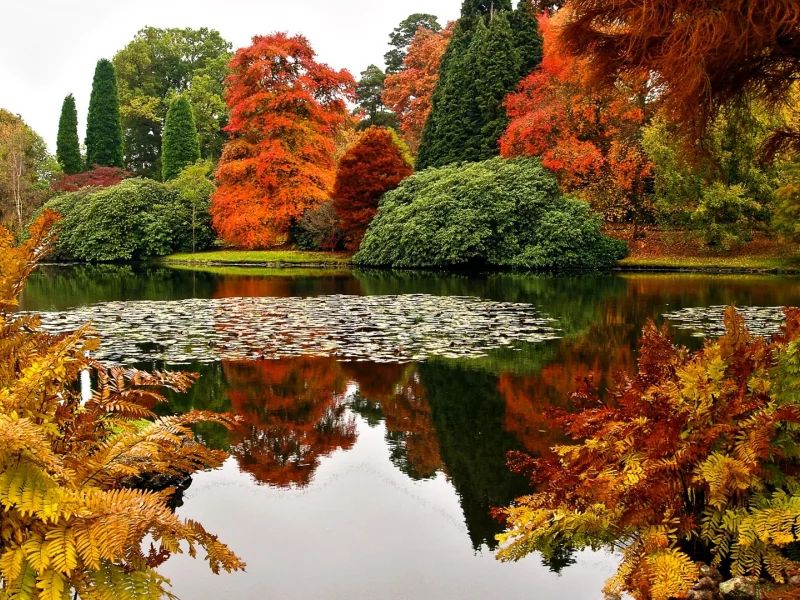 Sheffield Park Garden, UK