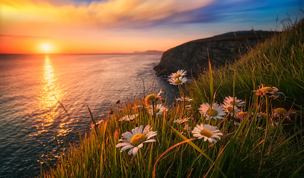 Atardecer