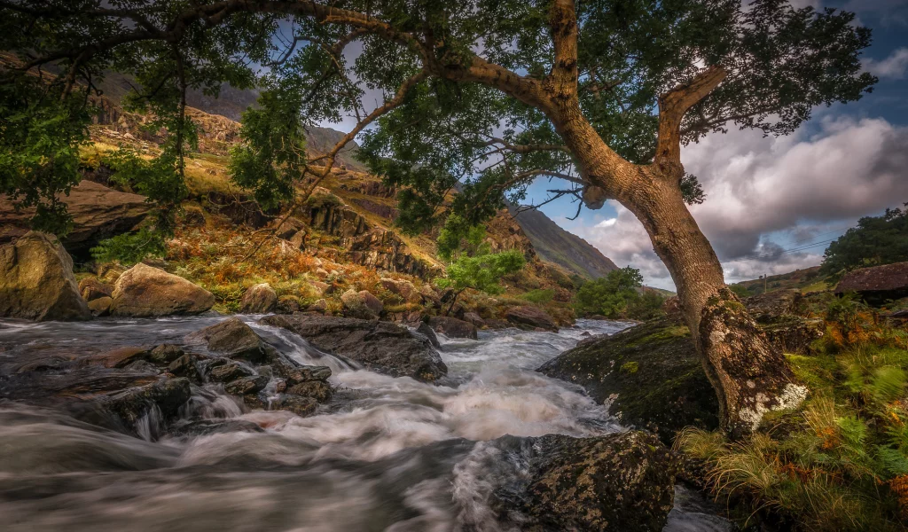 Naturaleza