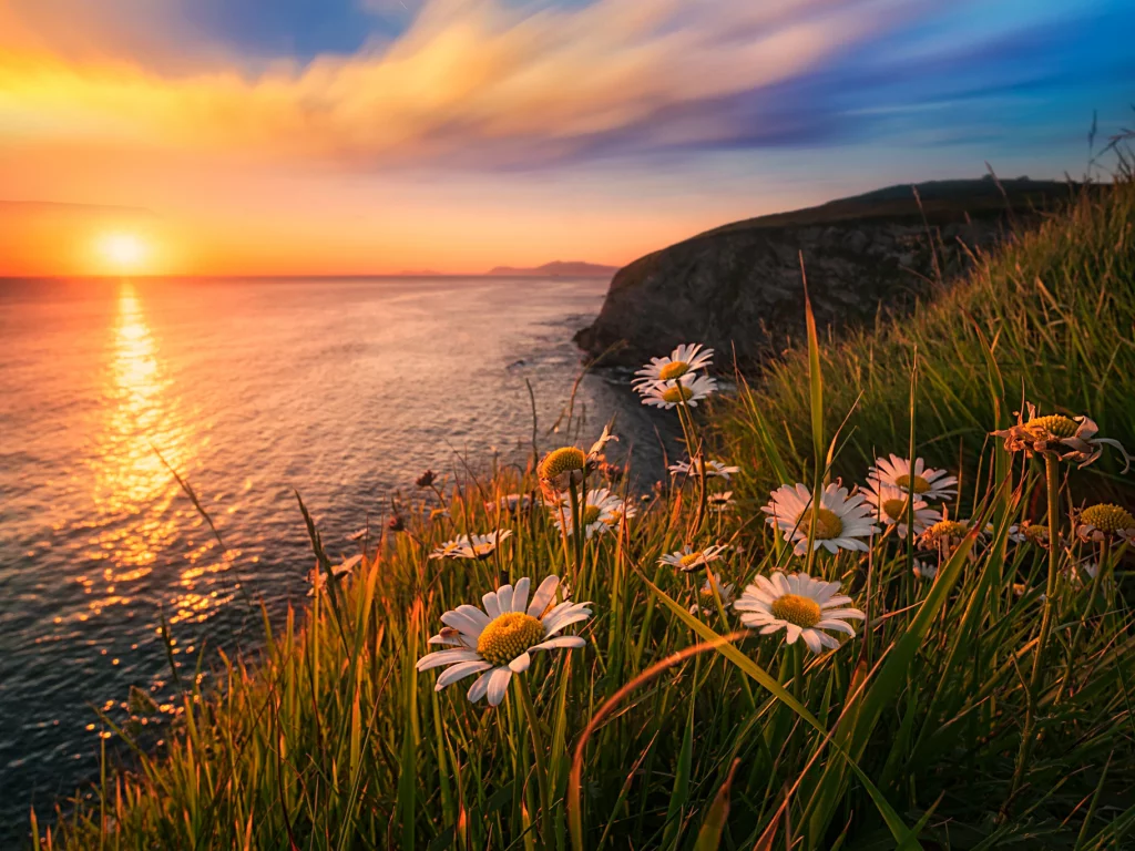 Atardecer