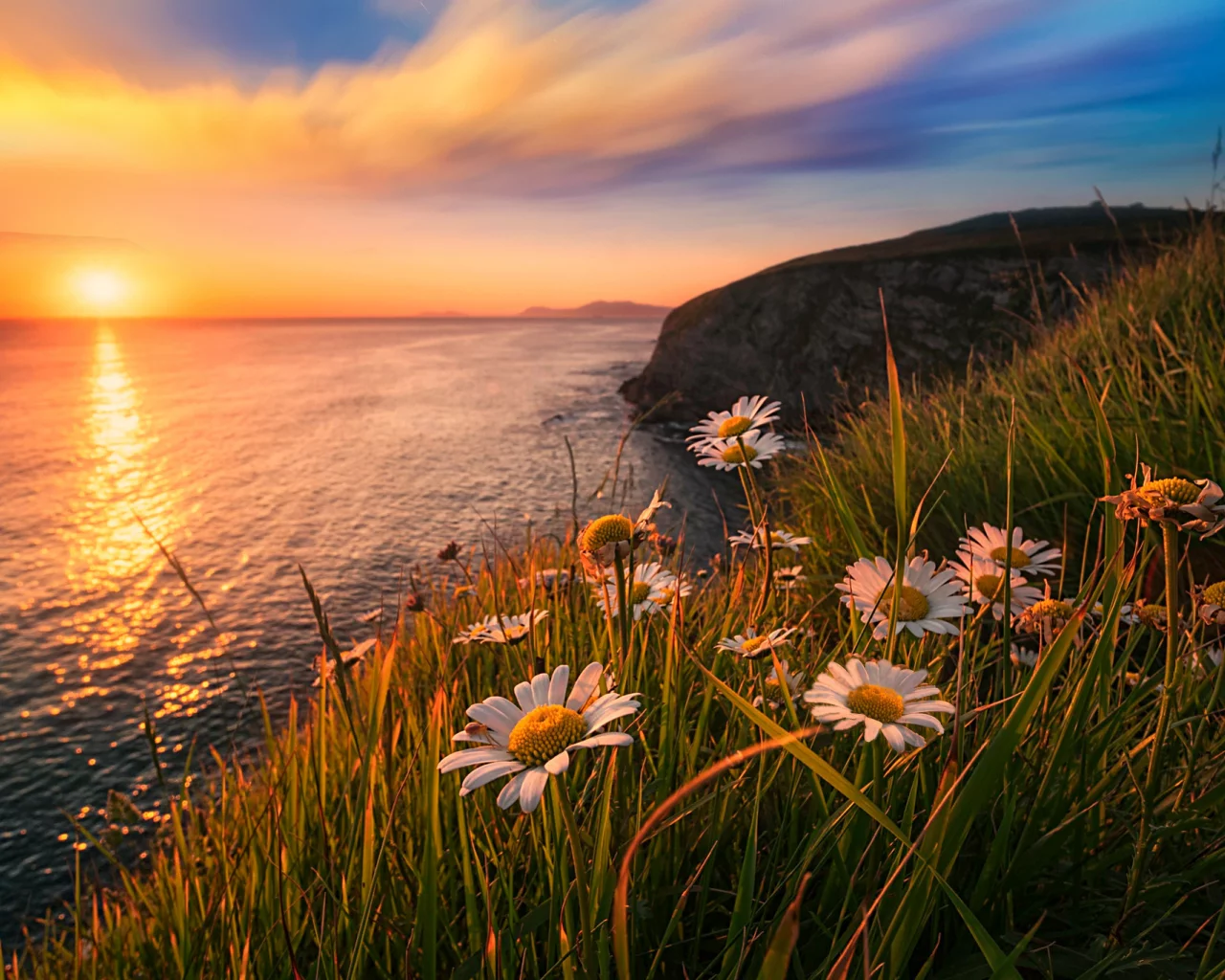 Atardecer
