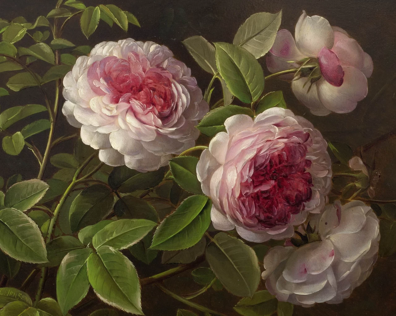 Flores