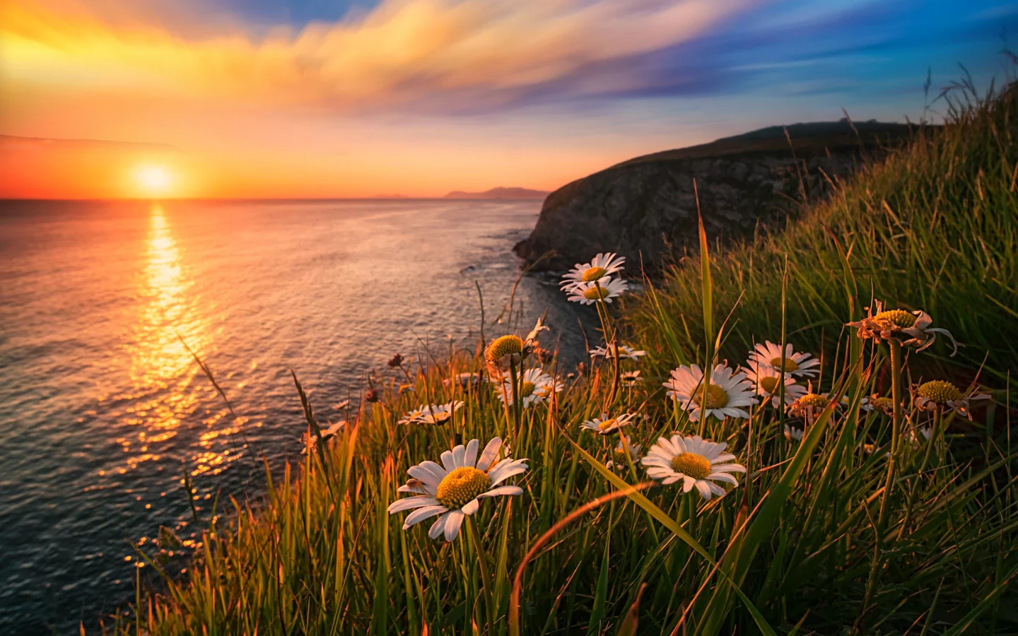 Atardecer