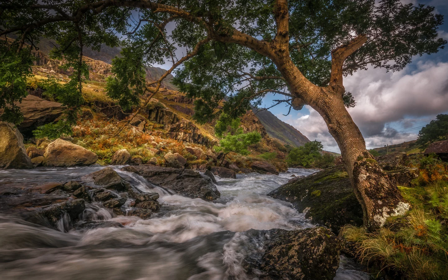 Naturaleza