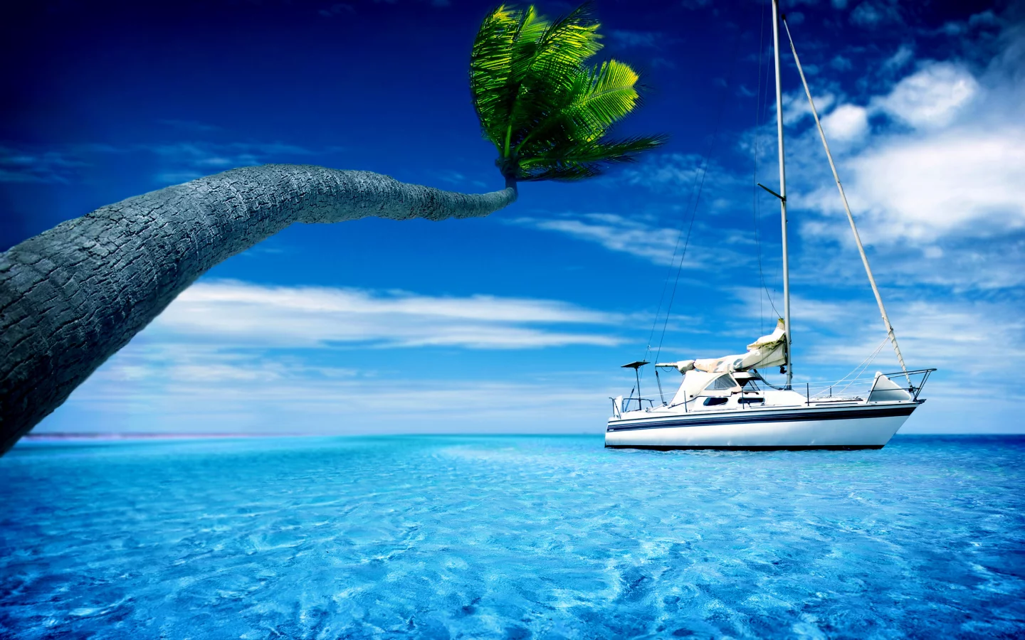 Vacaciones en el mar