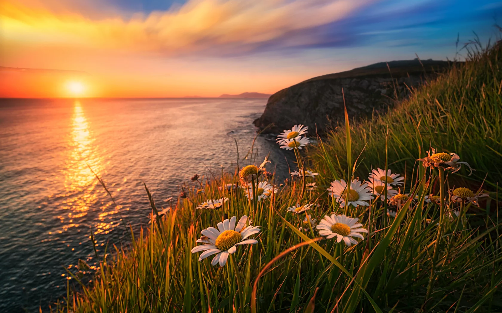 Atardecer