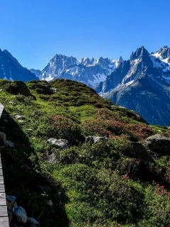 Hermoso para pasear