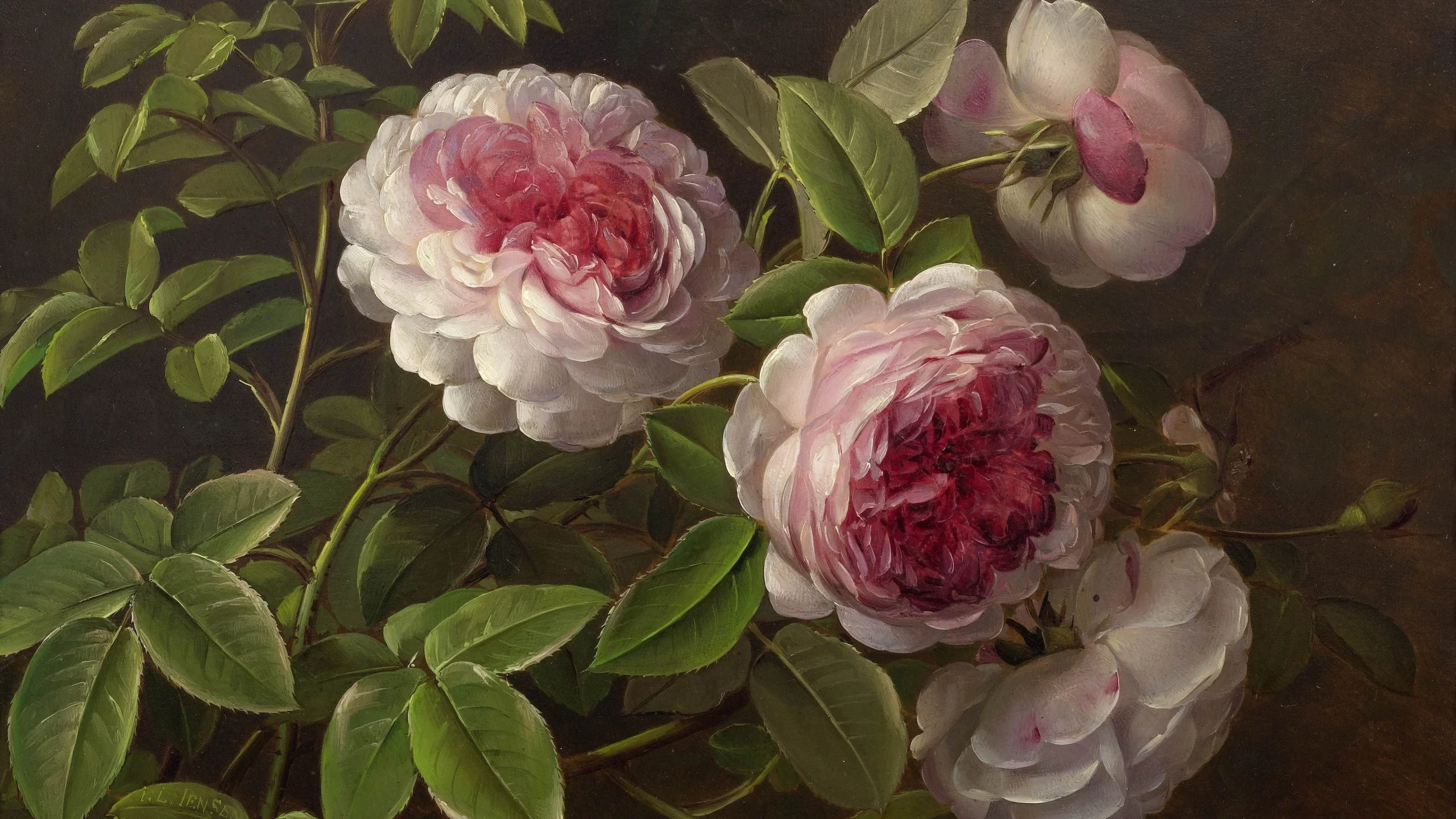 Flores