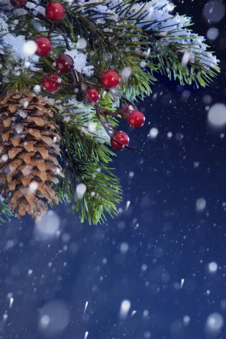 Новый Год