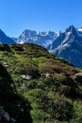 Hermoso para pasear