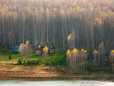 лес