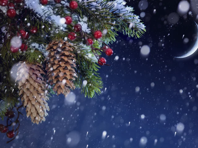 Новый Год