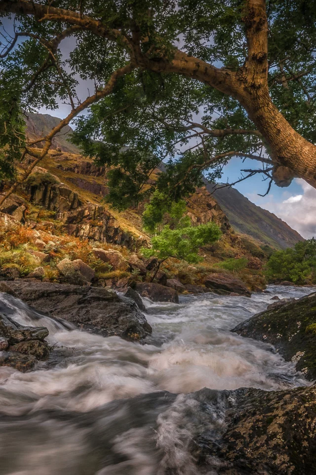 Naturaleza