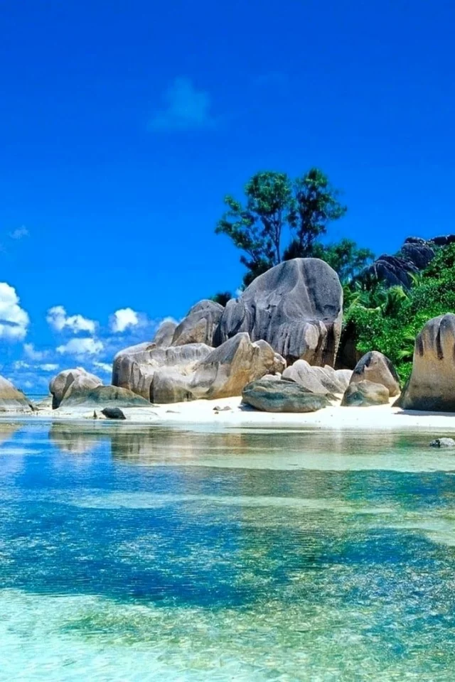 Seychelles Beach