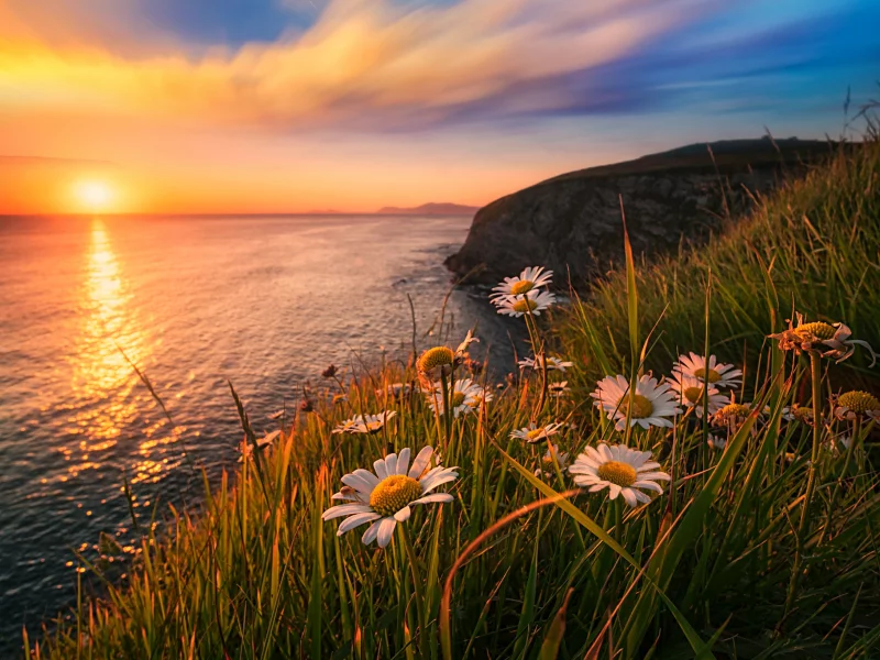 Atardecer