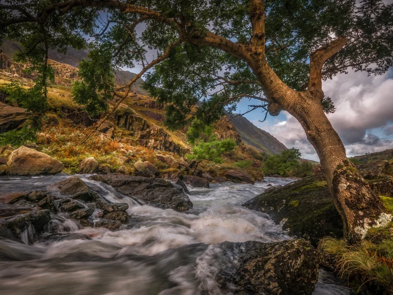 Naturaleza