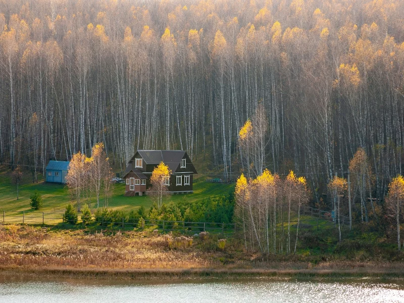 лес