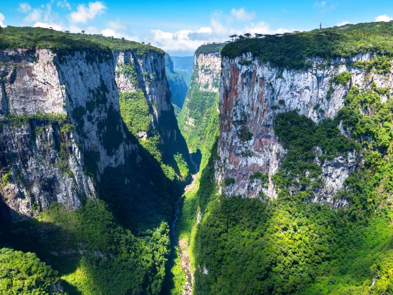 Naturaleza