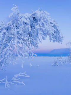 зима