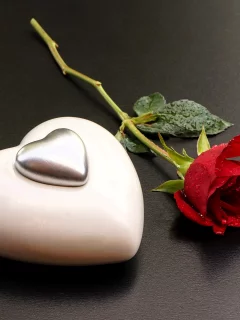 Сердце и роза