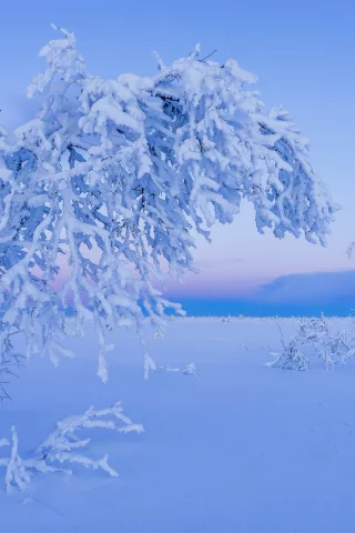 зима