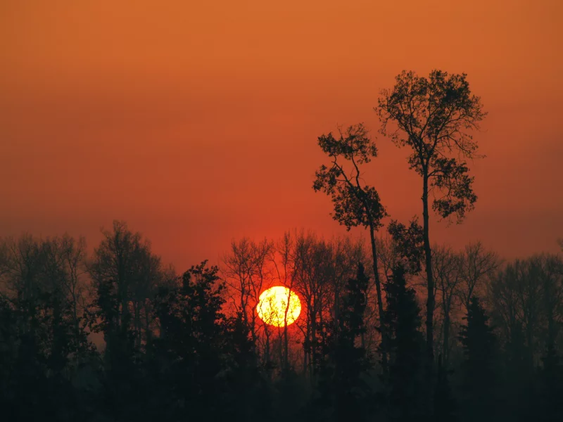 природа