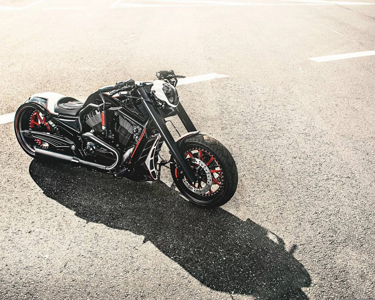 Harley