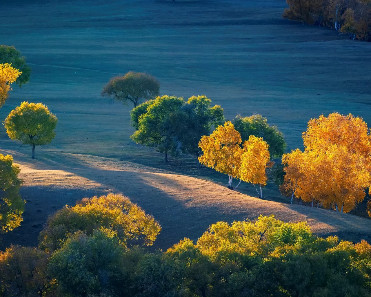 Paisaje