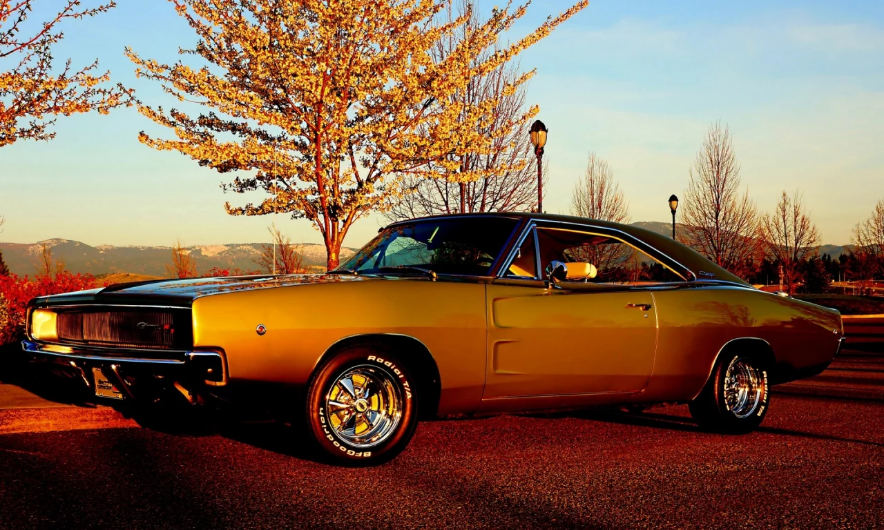 Dodge