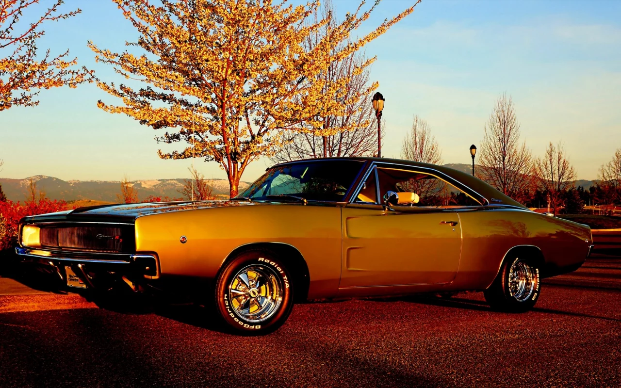 Dodge