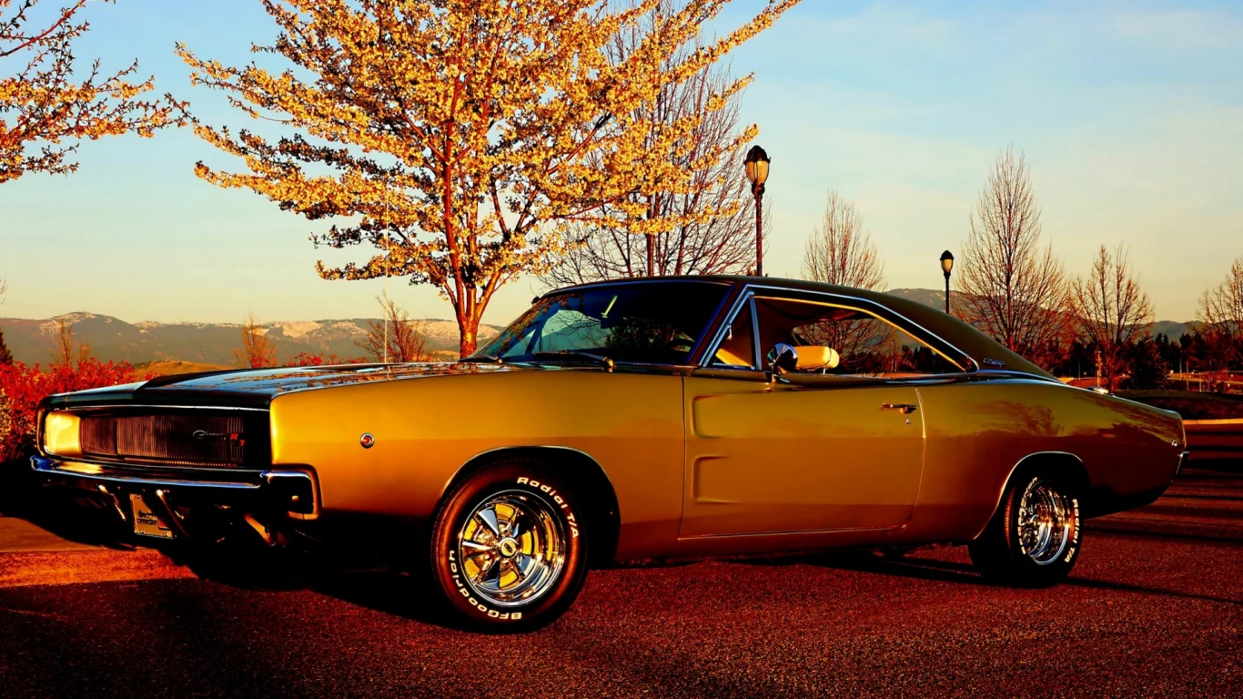 Dodge