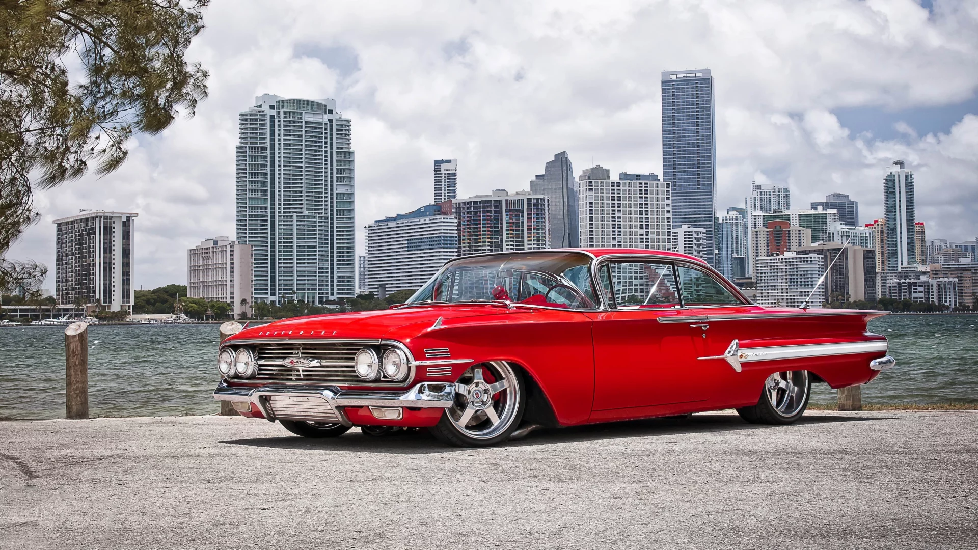 Impala