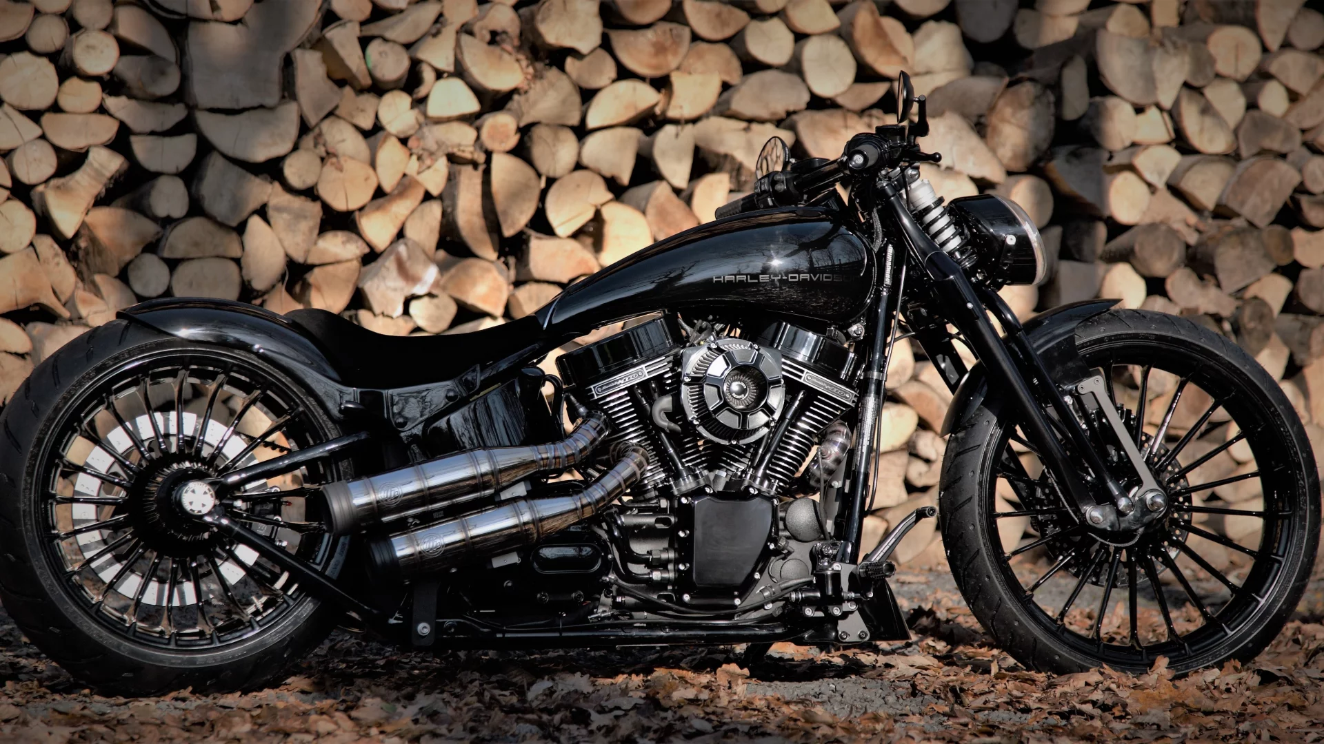 Harley