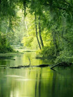 природа