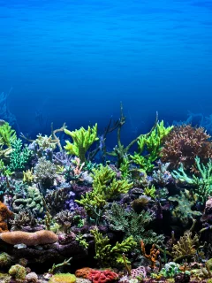 Морские глубины