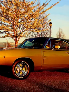 Dodge