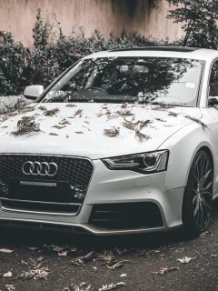 автомобиль